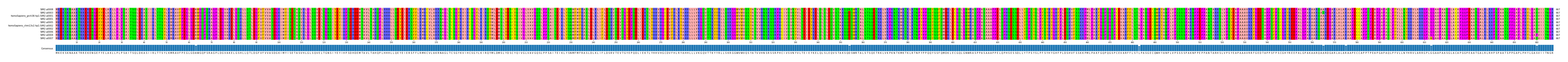 Multiple Alignments (by translate haplotype similarity)