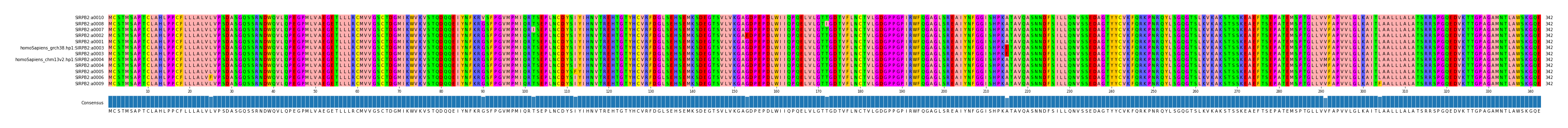 Multiple Alignments (by translate haplotype similarity)