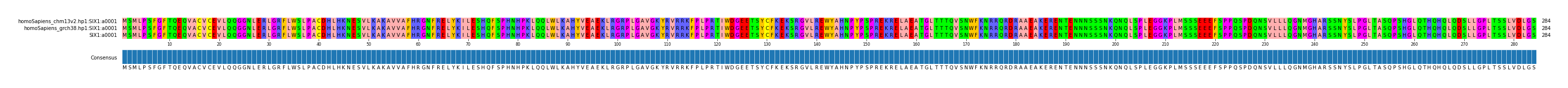 Multiple Alignments (by translate haplotype similarity)