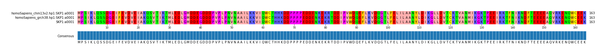 Multiple Alignments (by translate haplotype similarity)