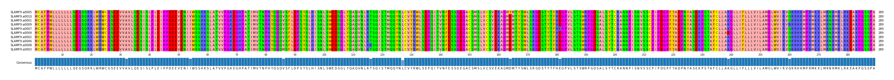 Multiple Alignments (by translate haplotype similarity)