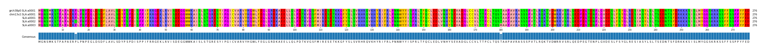 Multiple Alignments (by translate haplotype frequency)