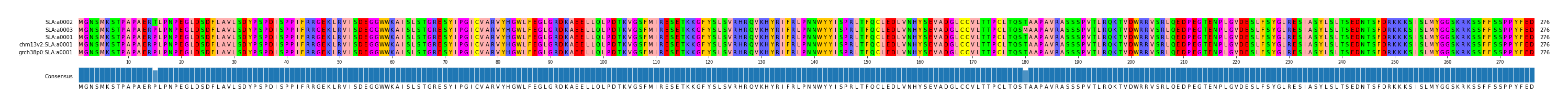 Multiple Alignments (by translate haplotype similarity)