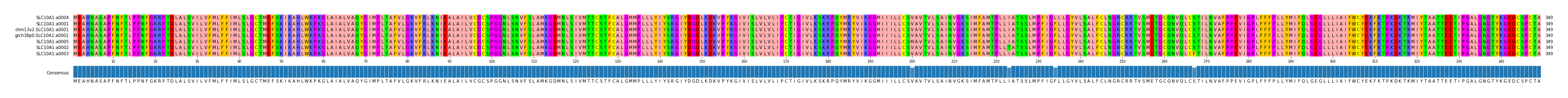 Multiple Alignments (by translate haplotype similarity)