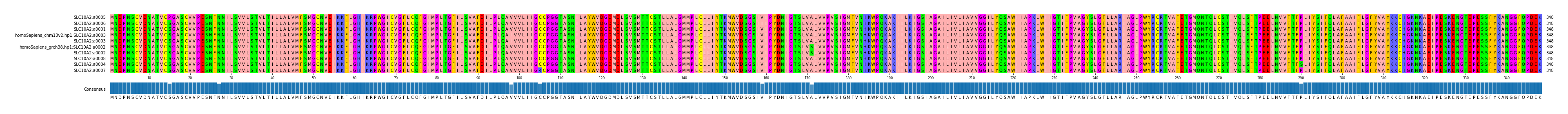 Multiple Alignments (by translate haplotype similarity)