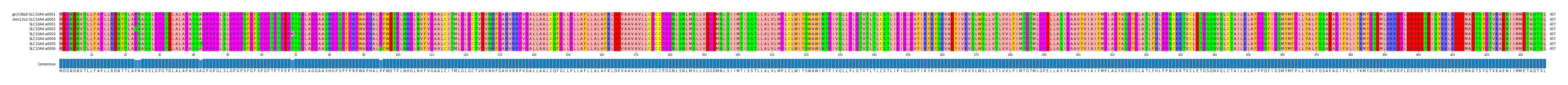 Multiple Alignments (by translate haplotype frequency)