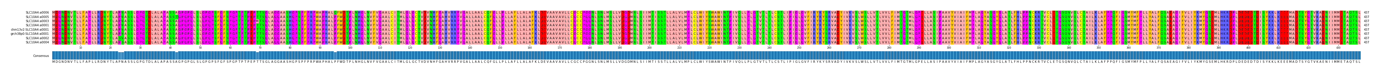 Multiple Alignments (by translate haplotype similarity)