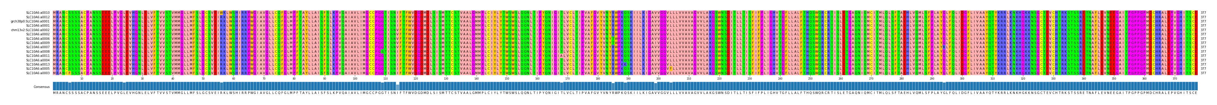 Multiple Alignments (by translate haplotype similarity)