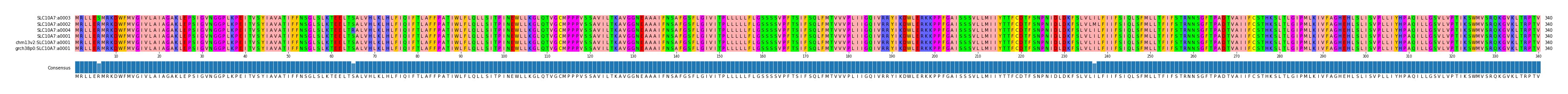 Multiple Alignments (by translate haplotype similarity)
