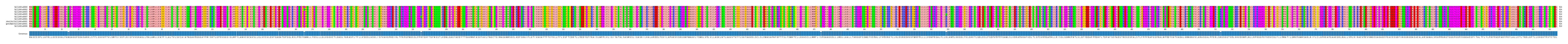 Multiple Alignments (by translate haplotype similarity)