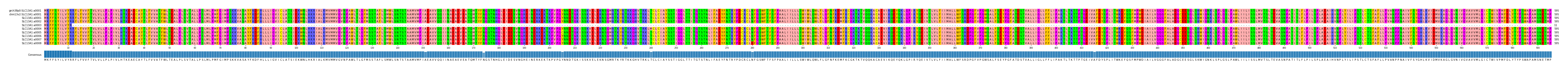 Multiple Alignments (by translate haplotype frequency)
