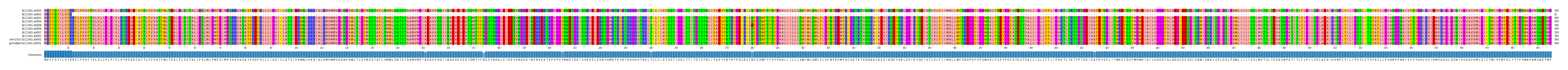 Multiple Alignments (by translate haplotype similarity)