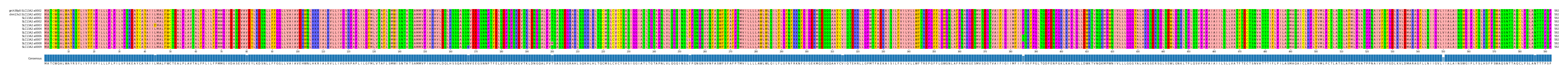 Multiple Alignments (by translate haplotype frequency)