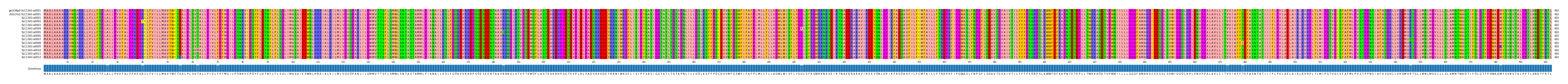 Multiple Alignments (by translate haplotype frequency)