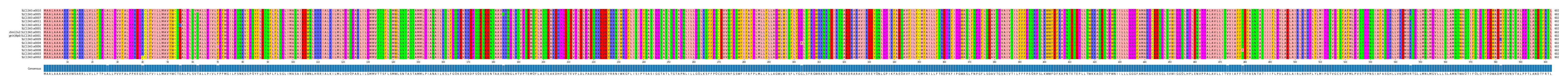 Multiple Alignments (by translate haplotype similarity)