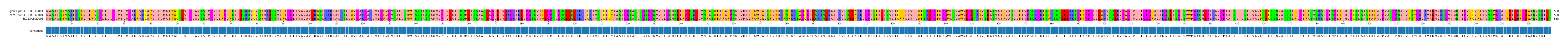 Multiple Alignments (by translate haplotype frequency)