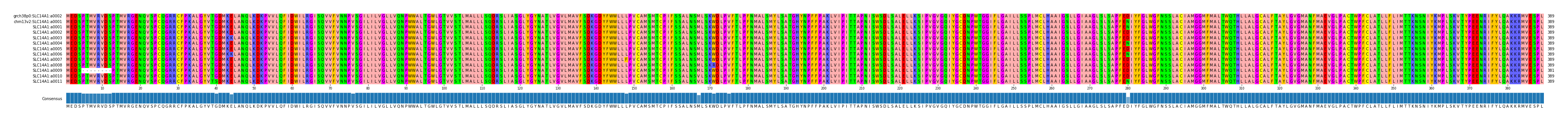 Multiple Alignments (by translate haplotype frequency)