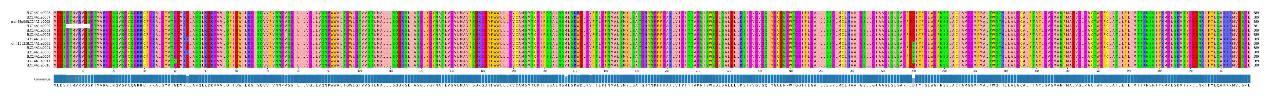 Multiple Alignments (by translate haplotype similarity)