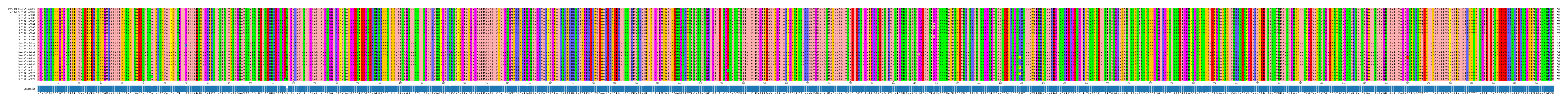 Multiple Alignments (by translate haplotype frequency)