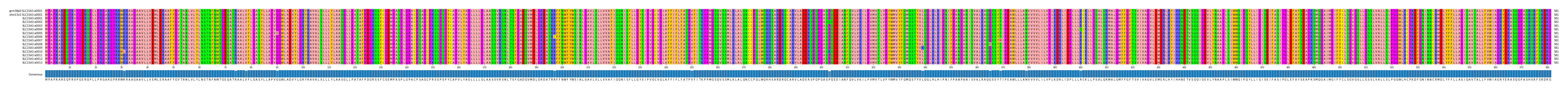 Multiple Alignments (by translate haplotype frequency)