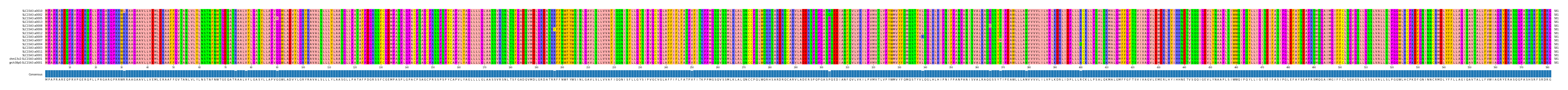 Multiple Alignments (by translate haplotype similarity)