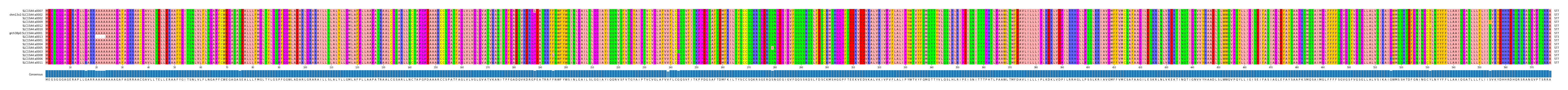 Multiple Alignments (by translate haplotype similarity)