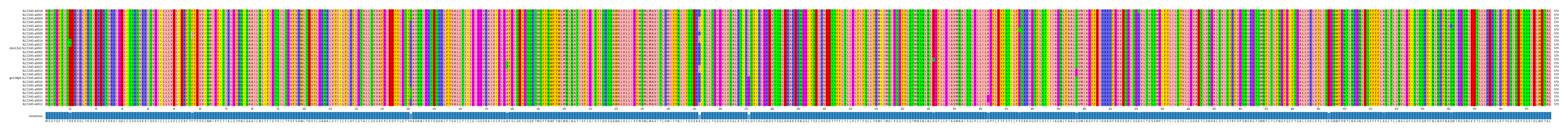 Multiple Alignments (by translate haplotype similarity)