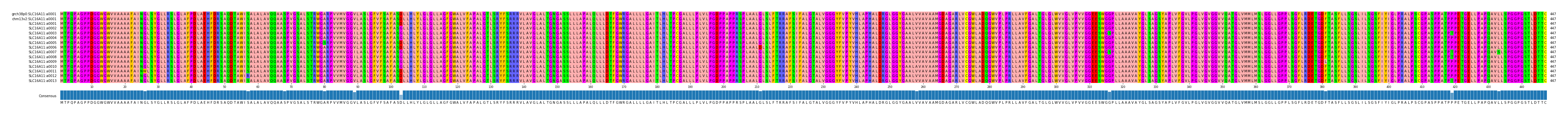 Multiple Alignments (by translate haplotype frequency)