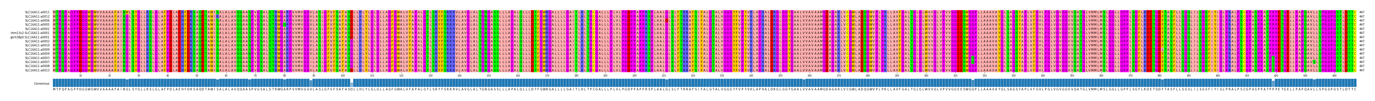Multiple Alignments (by translate haplotype similarity)