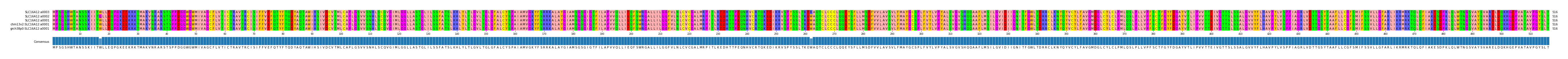 Multiple Alignments (by translate haplotype similarity)