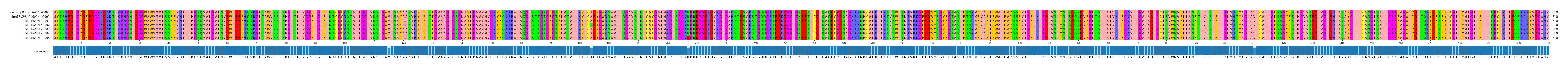 Multiple Alignments (by translate haplotype frequency)