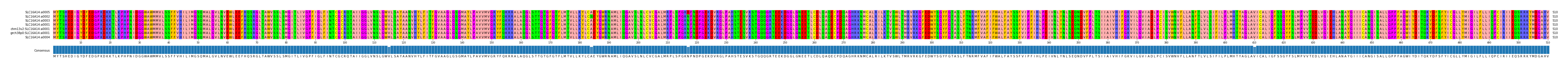 Multiple Alignments (by translate haplotype similarity)