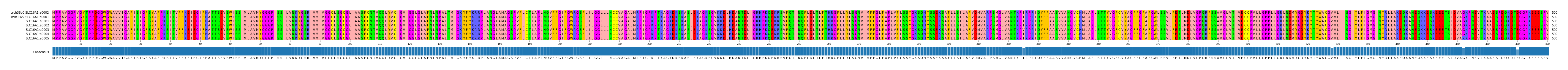 Multiple Alignments (by translate haplotype frequency)