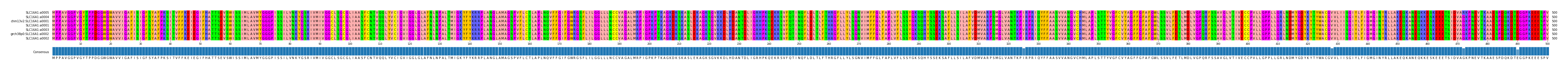 Multiple Alignments (by translate haplotype similarity)