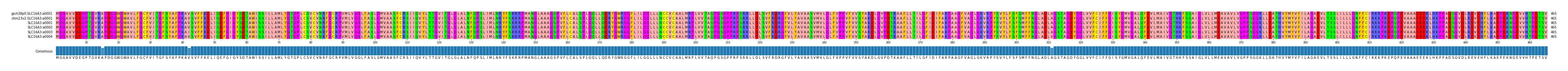 Multiple Alignments (by translate haplotype frequency)