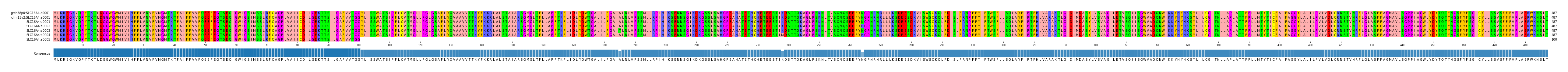Multiple Alignments (by translate haplotype frequency)