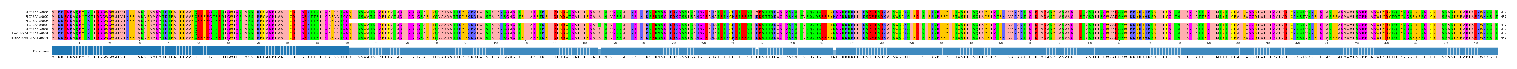 Multiple Alignments (by translate haplotype similarity)