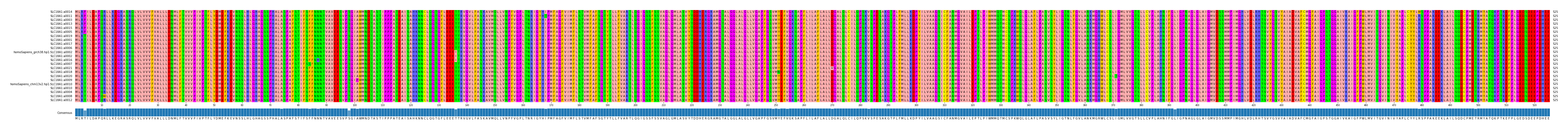 Multiple Alignments (by translate haplotype similarity)