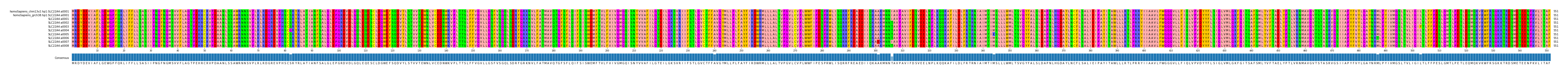 Multiple Alignments (by translate haplotype frequency)