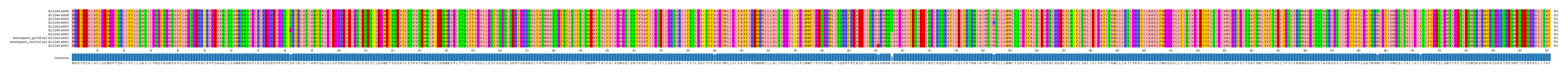 Multiple Alignments (by translate haplotype similarity)