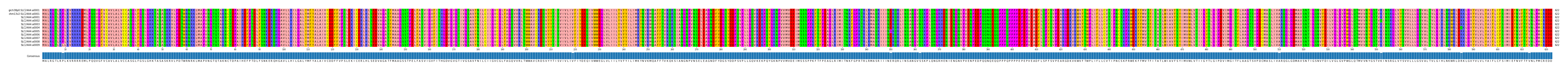 Multiple Alignments (by translate haplotype frequency)
