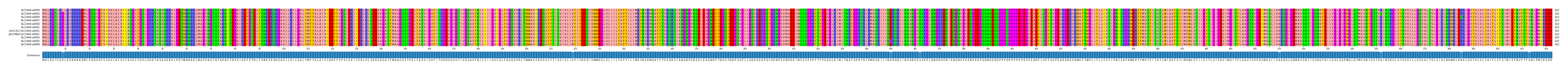 Multiple Alignments (by translate haplotype similarity)