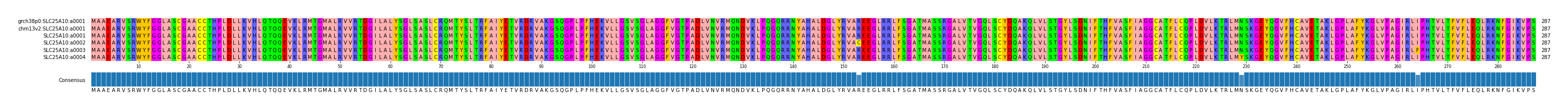 Multiple Alignments (by translate haplotype frequency)