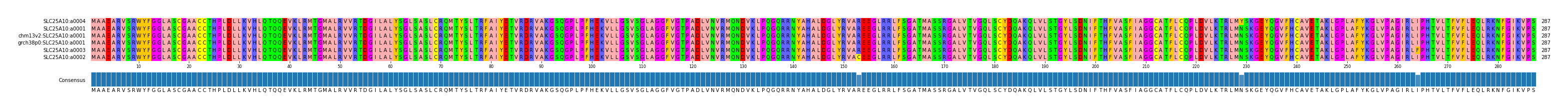 Multiple Alignments (by translate haplotype similarity)