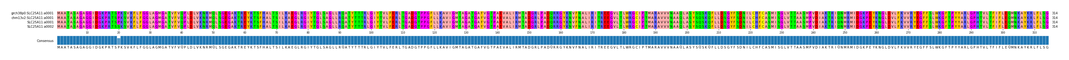 Multiple Alignments (by translate haplotype similarity)
