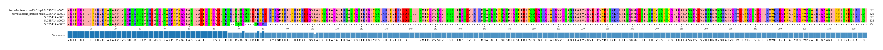 Multiple Alignments (by translate haplotype similarity)