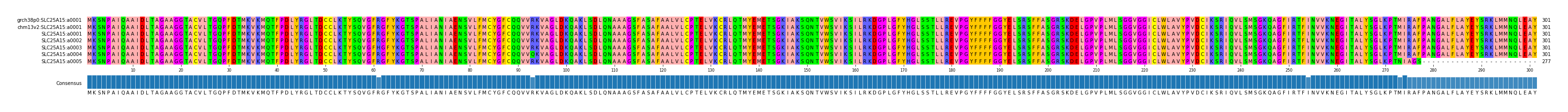 Multiple Alignments (by translate haplotype frequency)