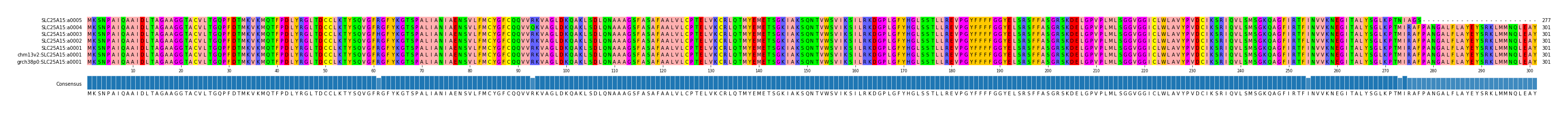 Multiple Alignments (by translate haplotype similarity)