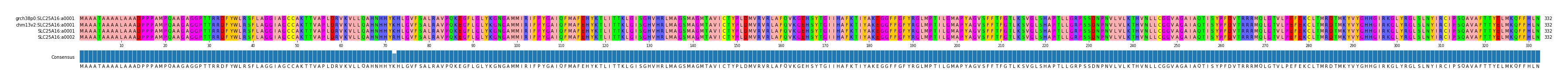 Multiple Alignments (by translate haplotype similarity)