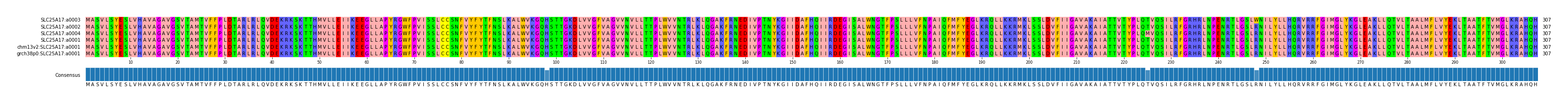 Multiple Alignments (by translate haplotype similarity)